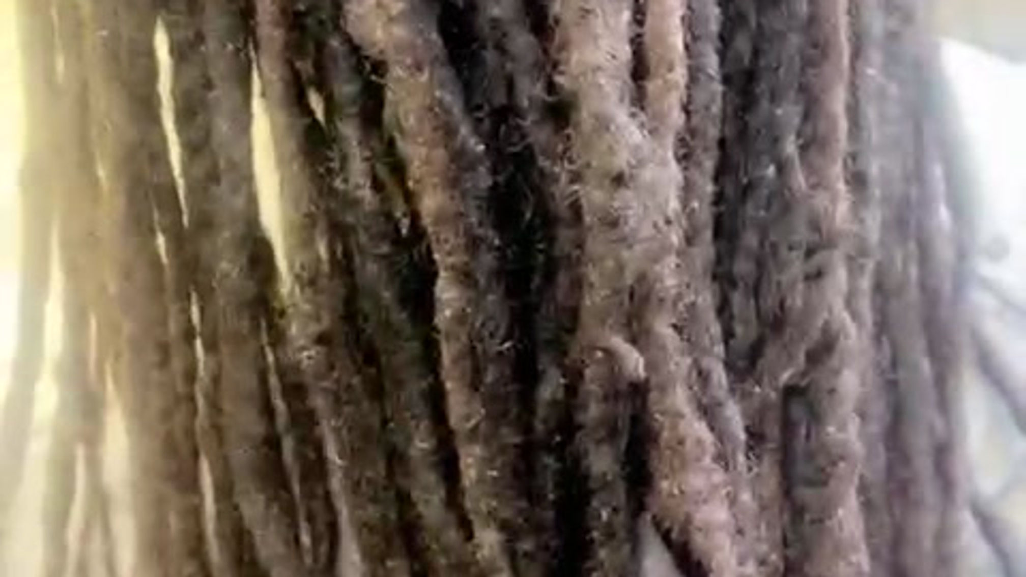 Dreadlocks